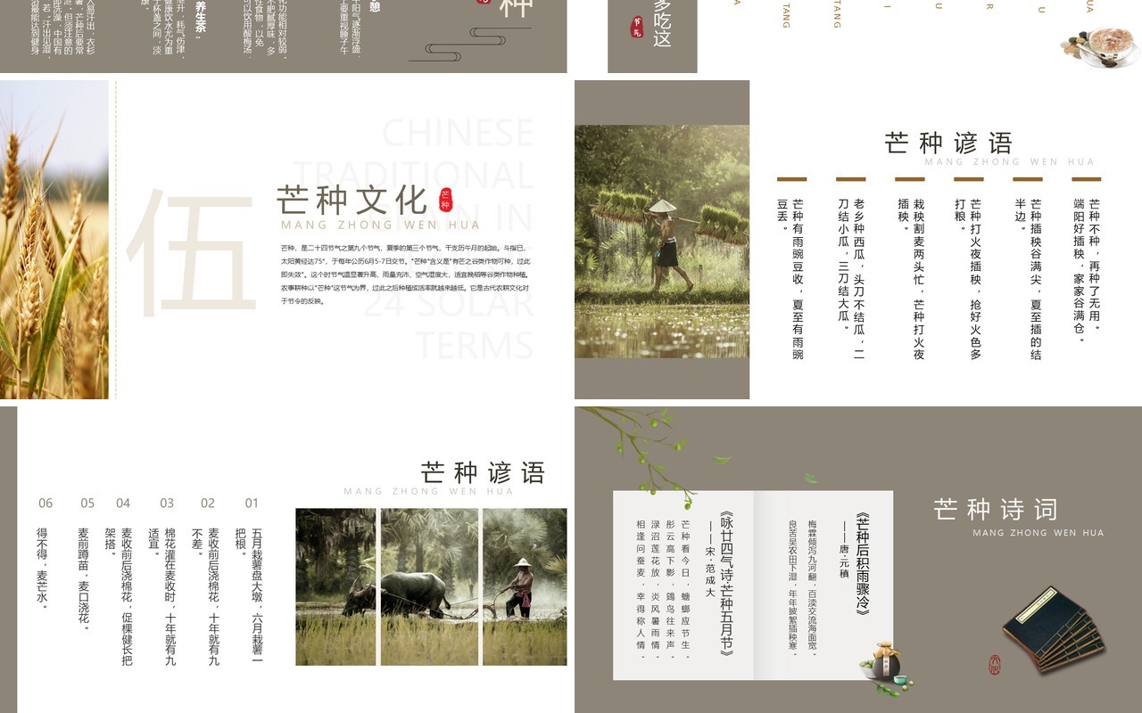 清新简约中国风传统节气之芒种PPT模板