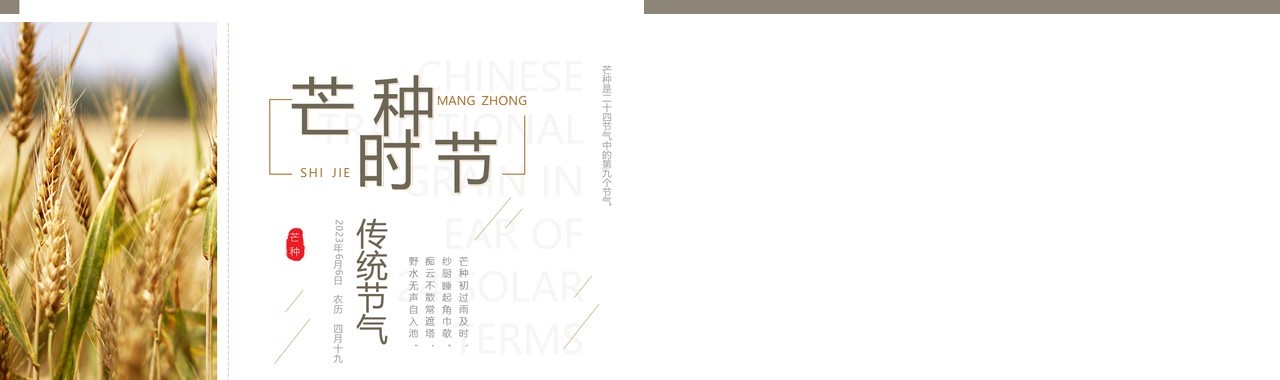 清新简约中国风传统节气之芒种PPT模板