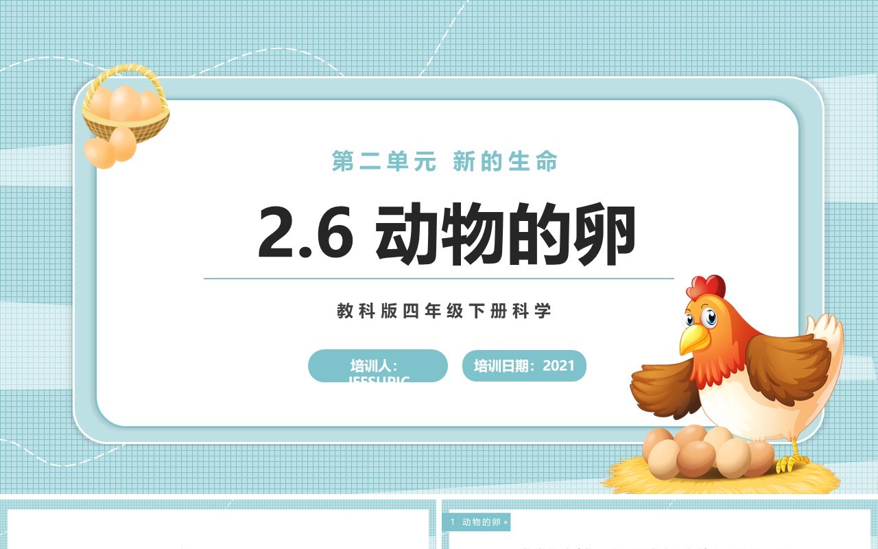 教科版四年级下册动物的卵课件PPT模板