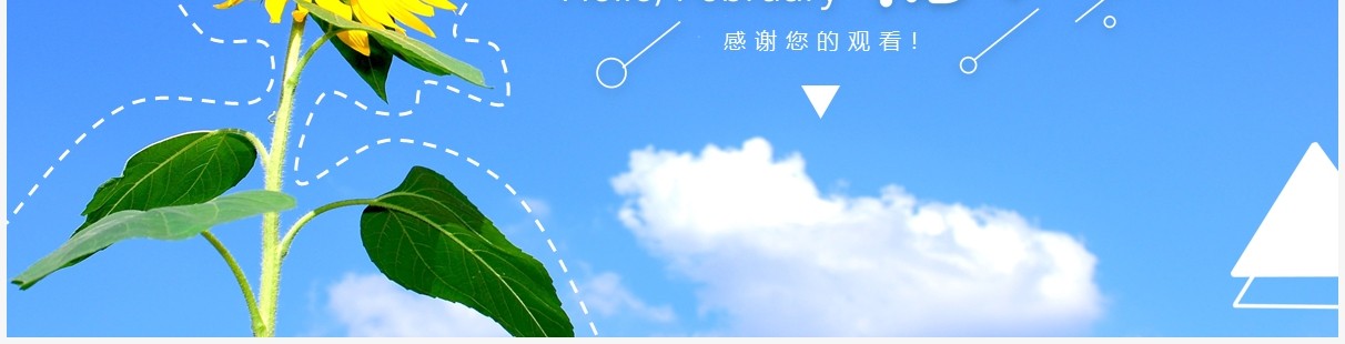 蓝色简约小清新你好二月PPT通用模板