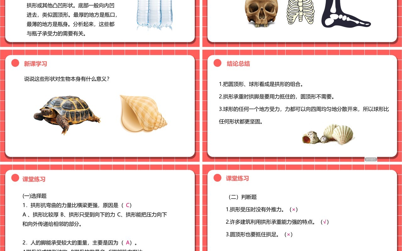 教科版六年级科学上册找拱形PPT模板