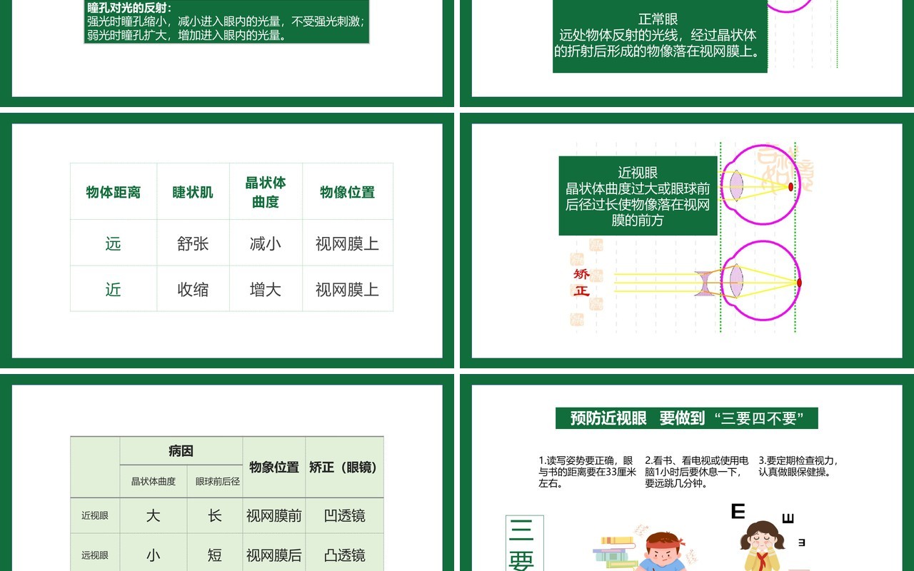 部编版九年级上册人体对外环境的感知课件PPT模板