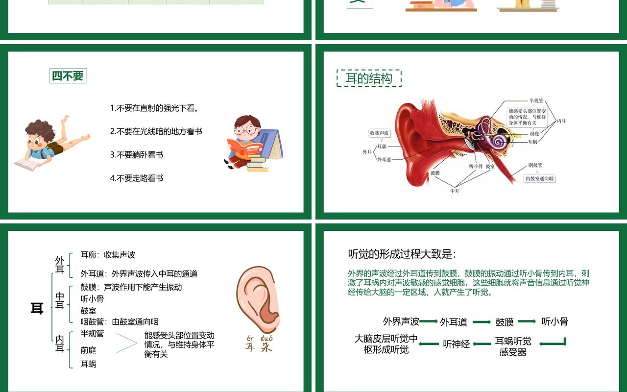 部编版九年级上册人体对外环境的感知课件PPT模板