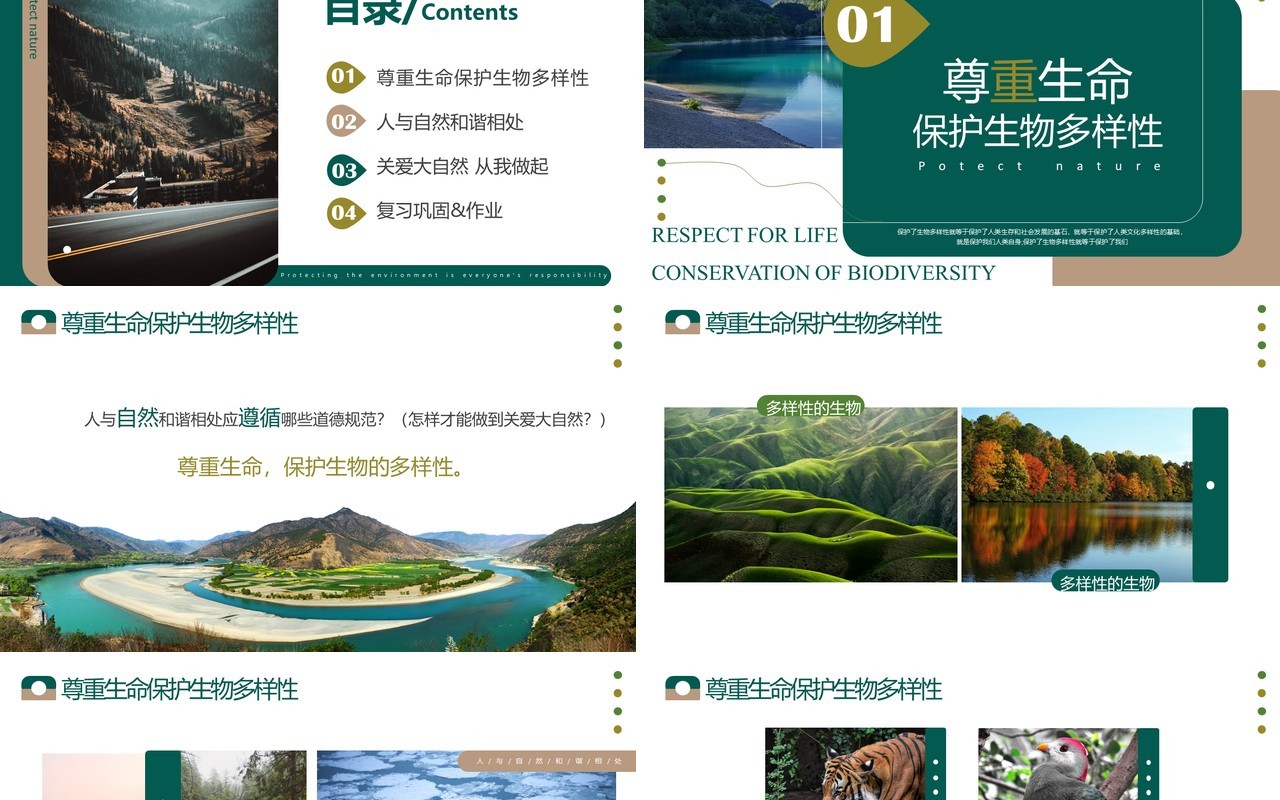 绿色简约风关爱大自然人与自然和谐相处PPT模板