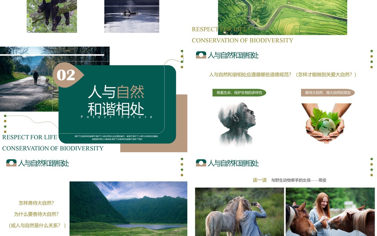绿色简约风关爱大自然人与自然和谐相处PPT模板
