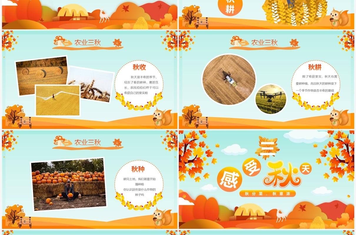 橙色卡通风幼儿园二十四节气之秋分介绍PPT模板