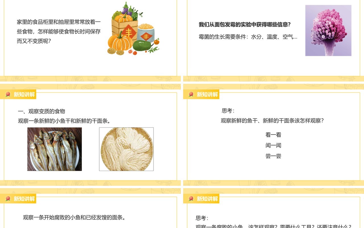 教科版四年级下册减慢食物变质的速度课件PPT模板