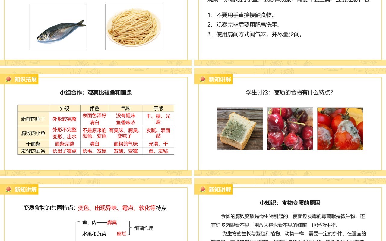 教科版四年级下册减慢食物变质的速度课件PPT模板