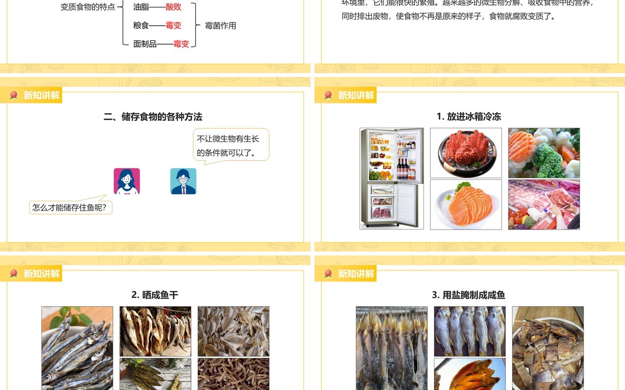 教科版四年级下册减慢食物变质的速度课件PPT模板