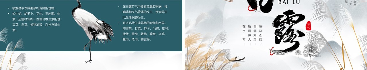 灰色中国风二十四节气之白露PPT模板