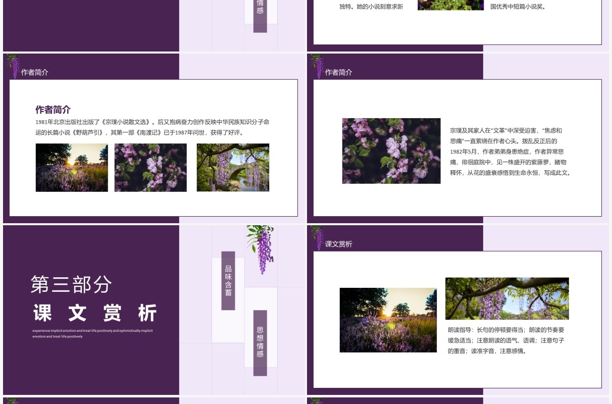 紫藤萝瀑布体会含蓄情感积极乐观对待人生动态PPT模板