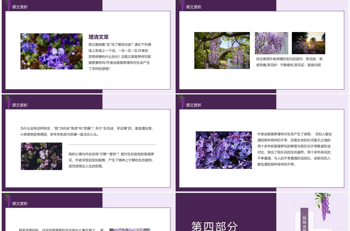 紫藤萝瀑布体会含蓄情感积极乐观对待人生动态PPT模板