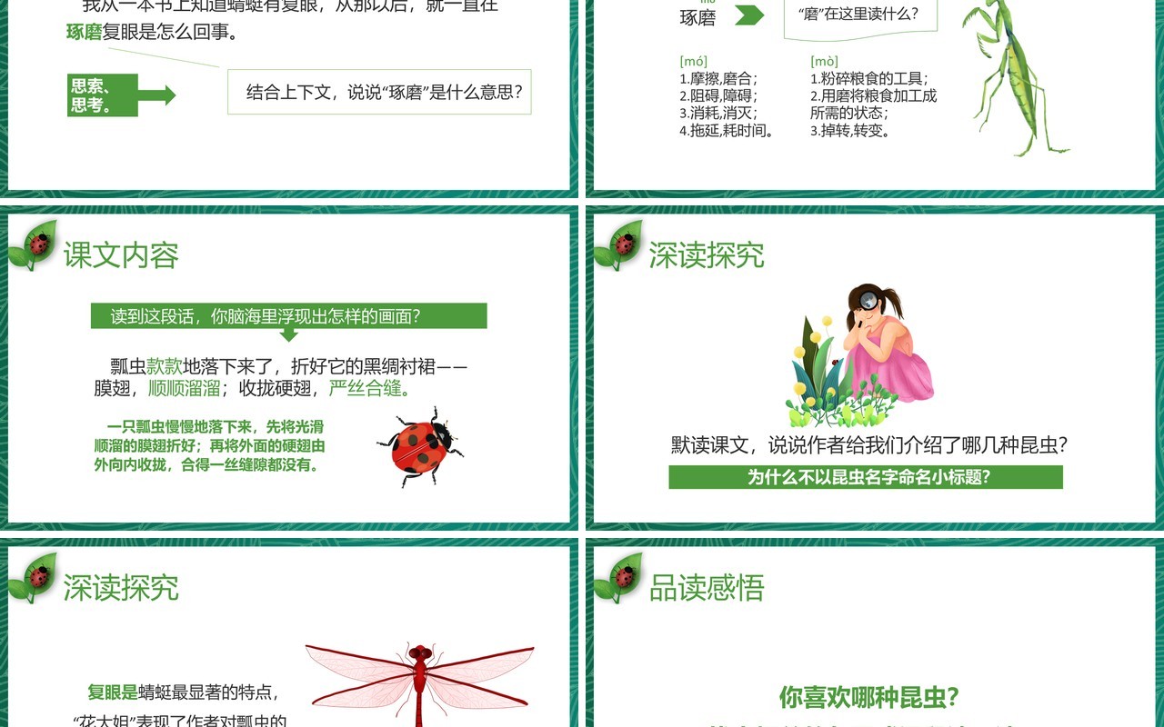 部编版三年级语文下册昆虫备忘录课件PPT模板