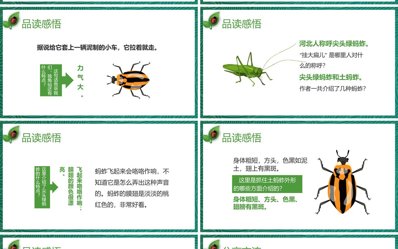 部编版三年级语文下册昆虫备忘录课件PPT模板