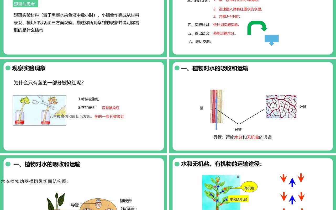 人教版七年级生物上册绿色植物与生物圈的水循环课件PPT模板
