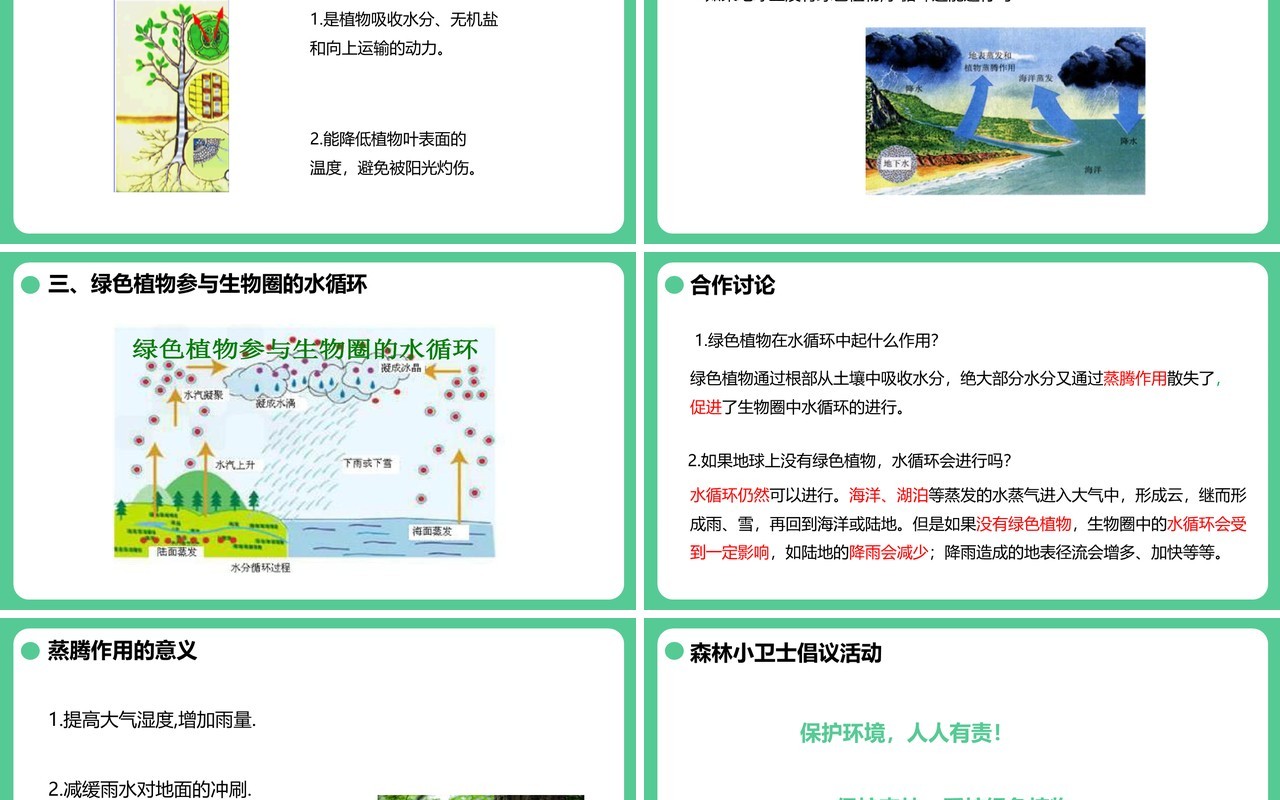 人教版七年级生物上册绿色植物与生物圈的水循环课件PPT模板