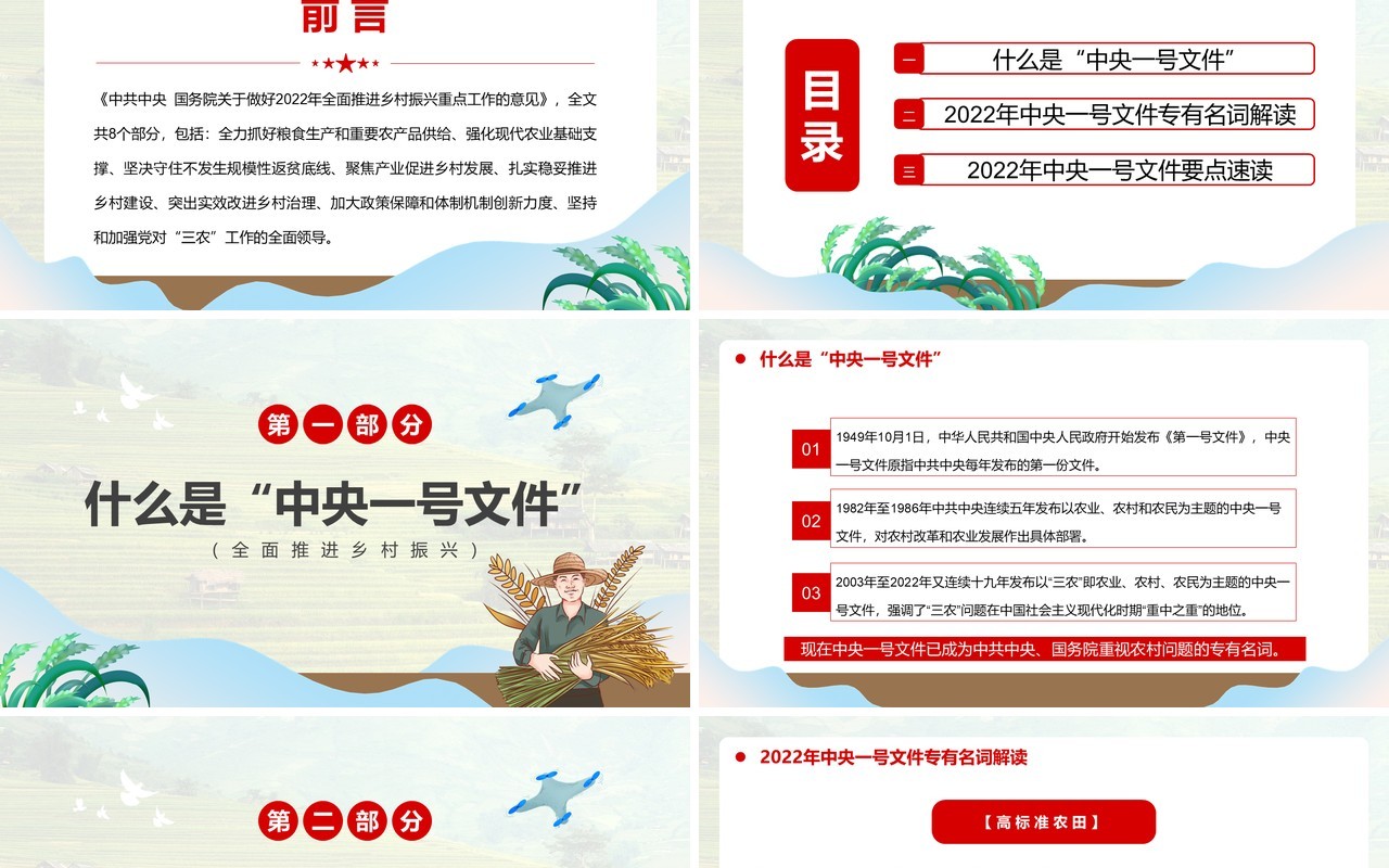 中央一号文件全面推进乡村振兴重点工作PPT模板