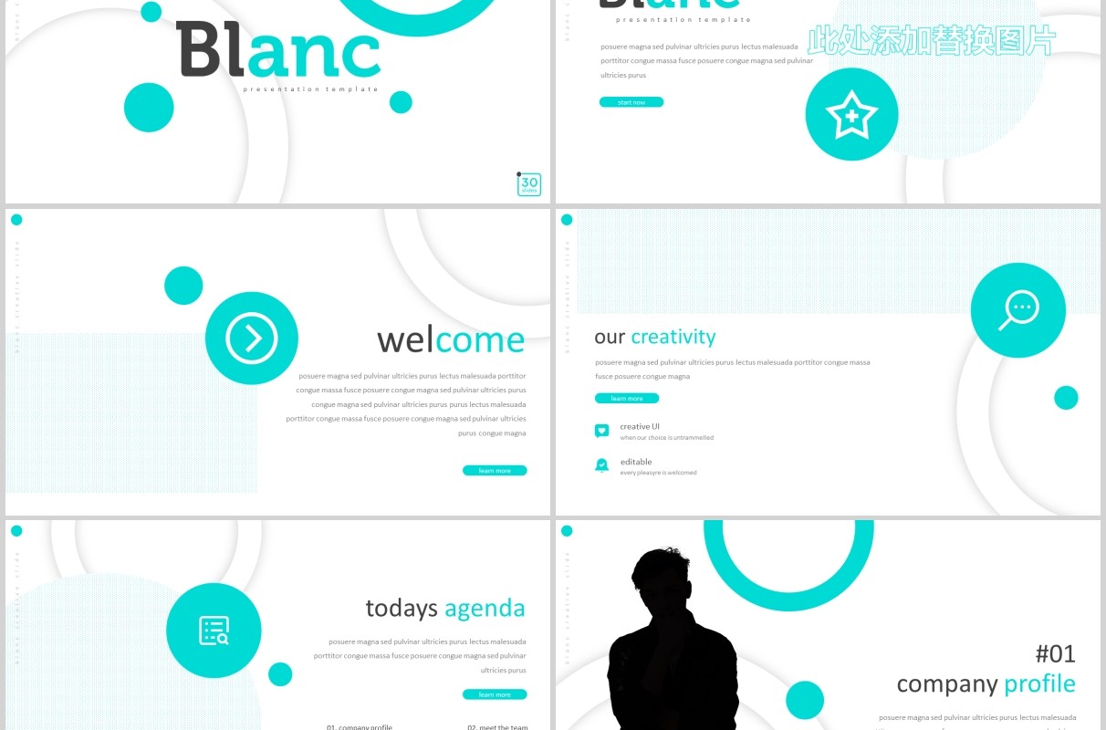 简洁个人简历公司介绍PPT模板Blanc Powerpoint Template