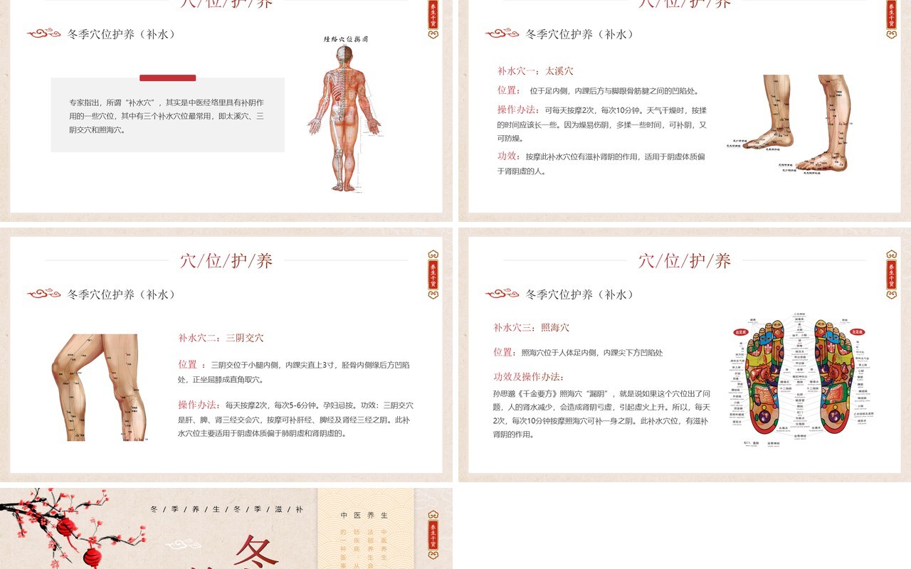 中国风冬季养生知识介绍PPT模板