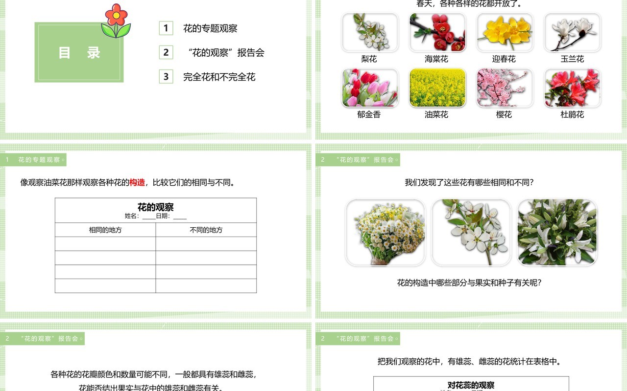 教科版四年级下册各种各样的花课件PPT模板