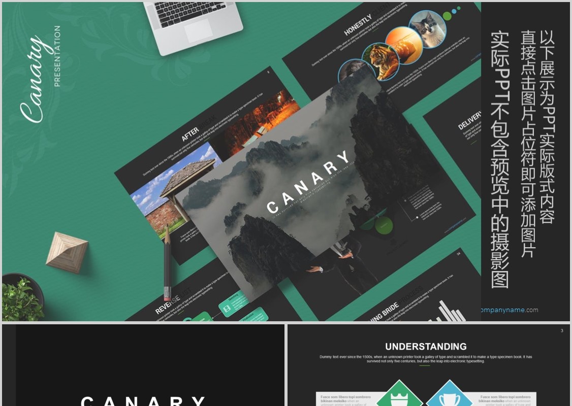 高端数据分析可视化PPT信息图表模板Canary - Powerpoint Template