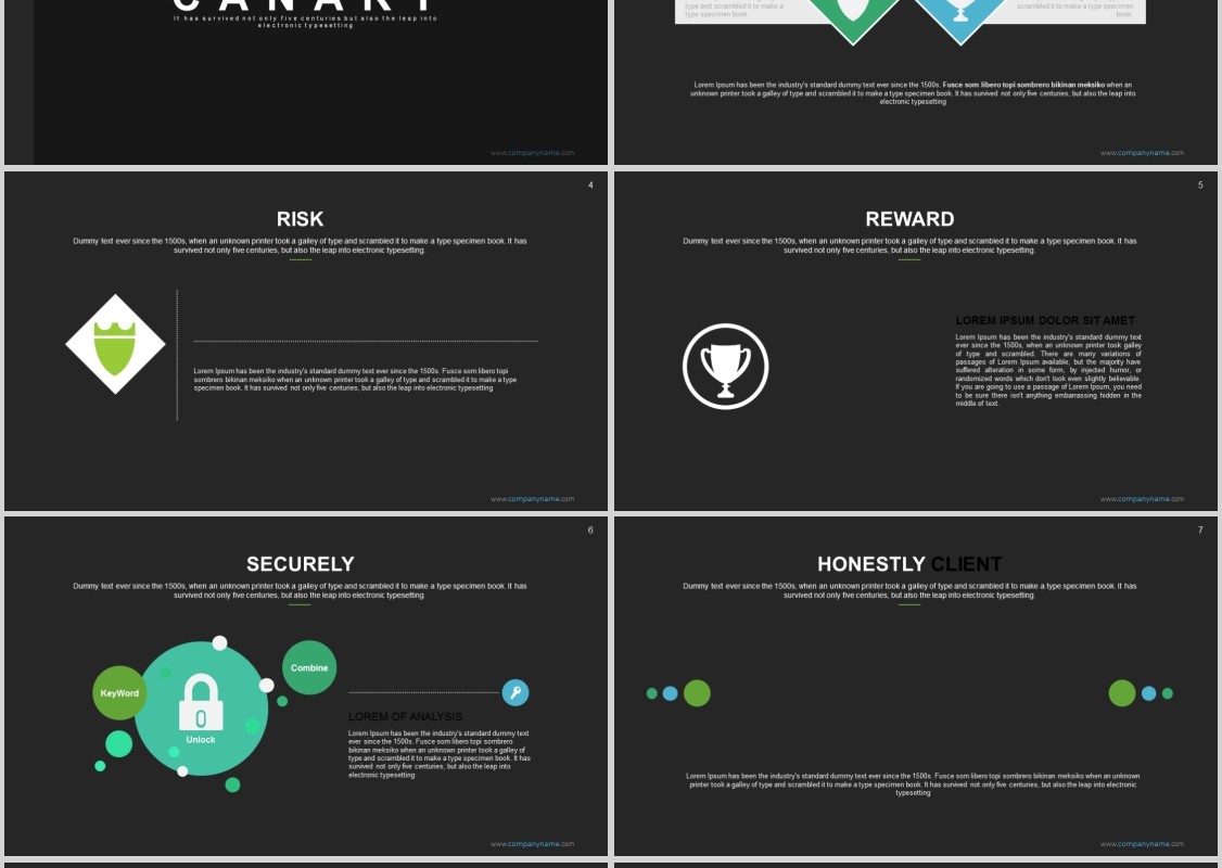 高端数据分析可视化PPT信息图表模板Canary - Powerpoint Template