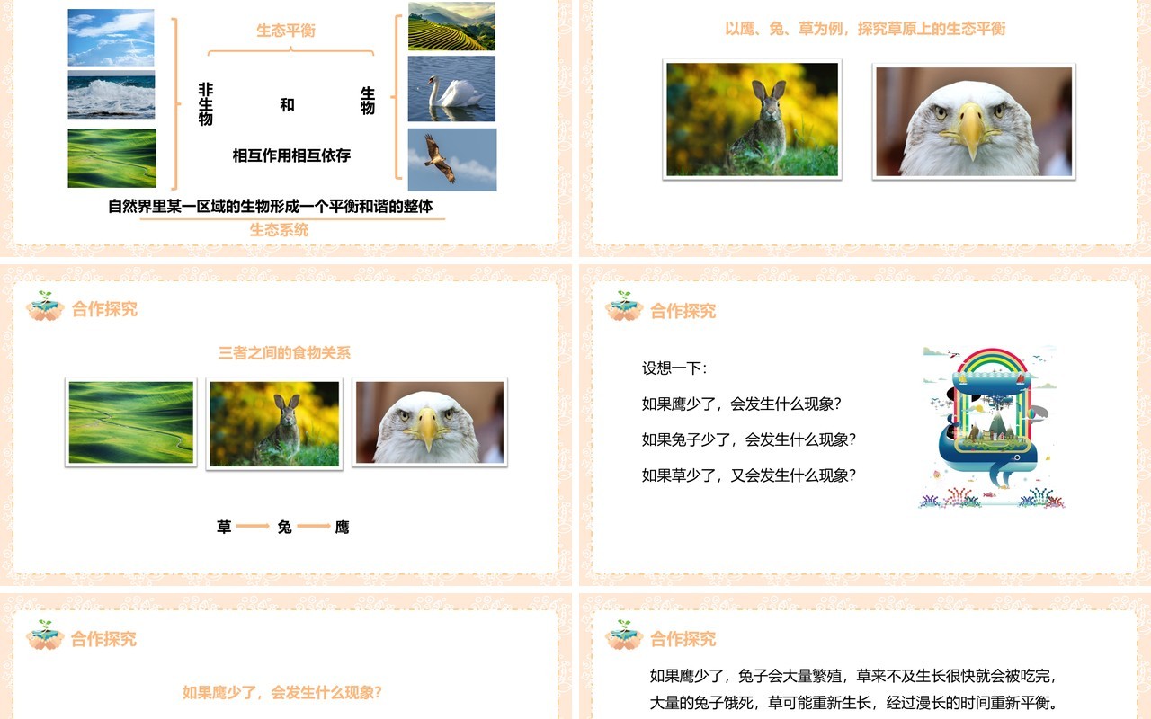 教科版五年级科学上册维护生态平衡PPT模板