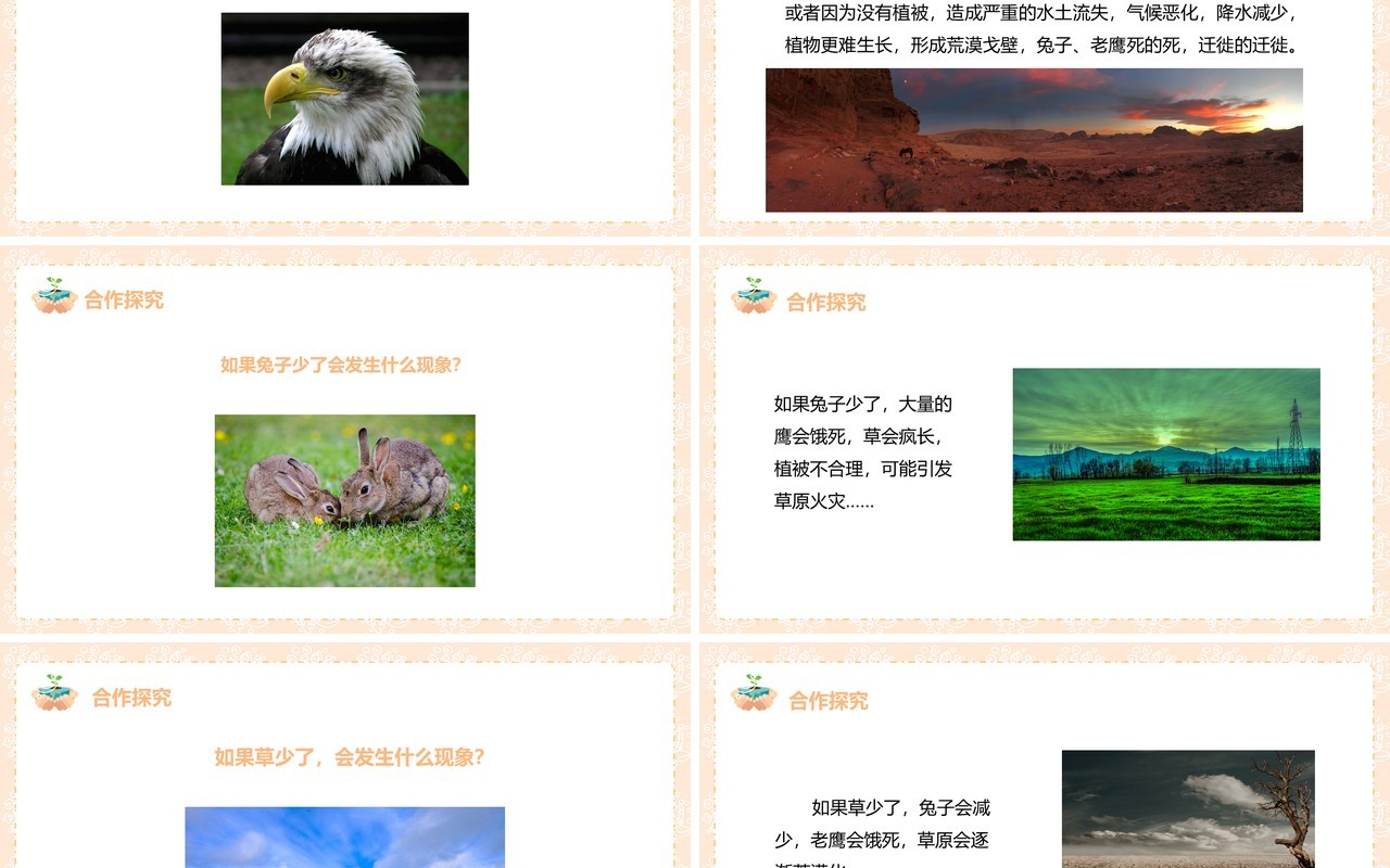 教科版五年级科学上册维护生态平衡PPT模板