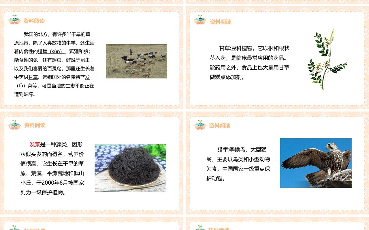 教科版五年级科学上册维护生态平衡PPT模板