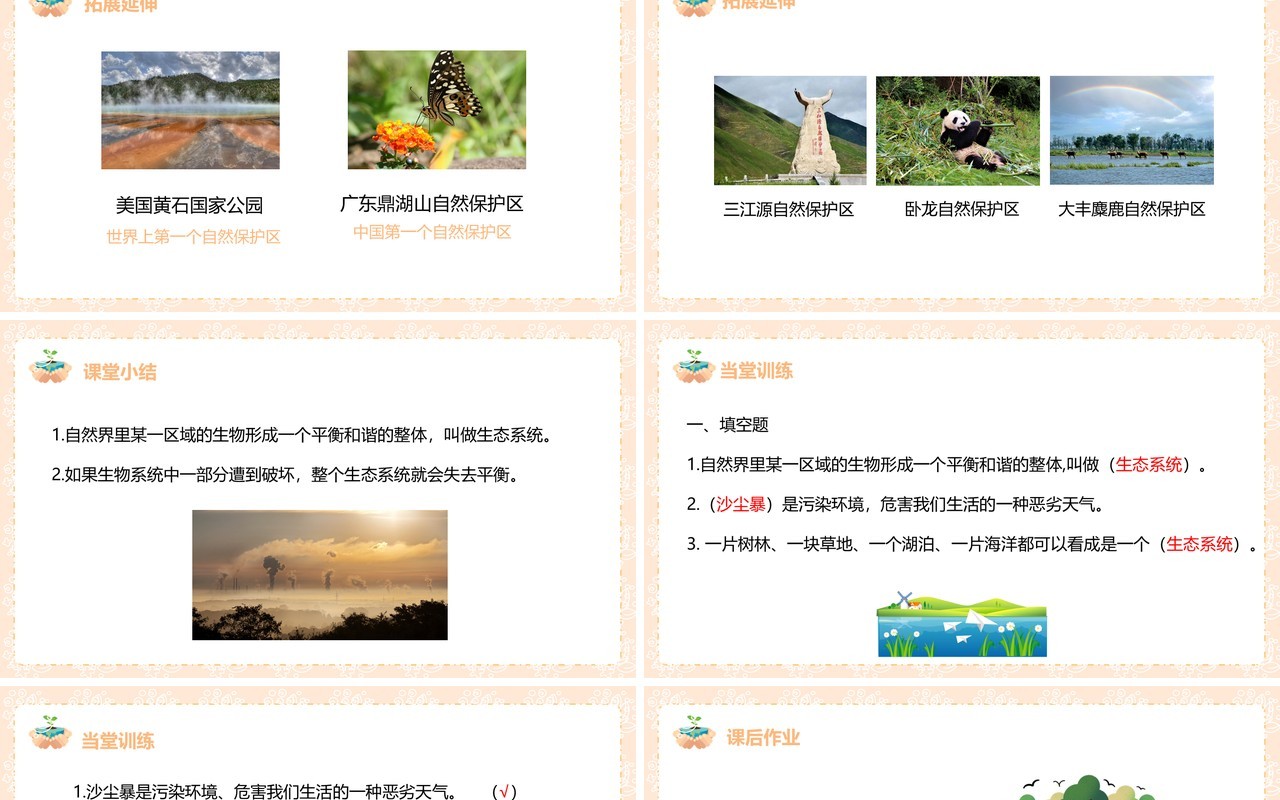 教科版五年级科学上册维护生态平衡PPT模板