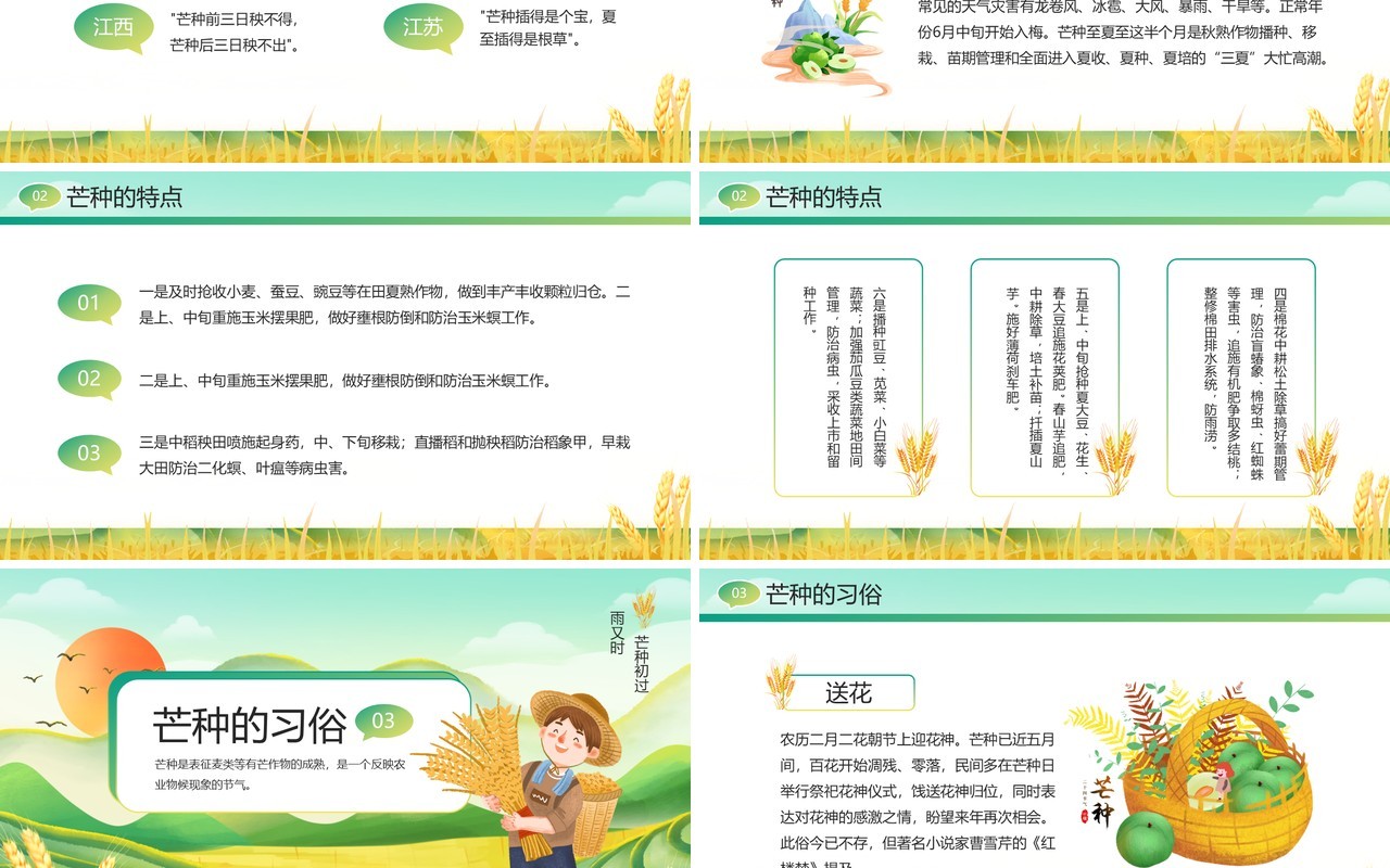 绿色插画风二十四节气之芒种PPT模板