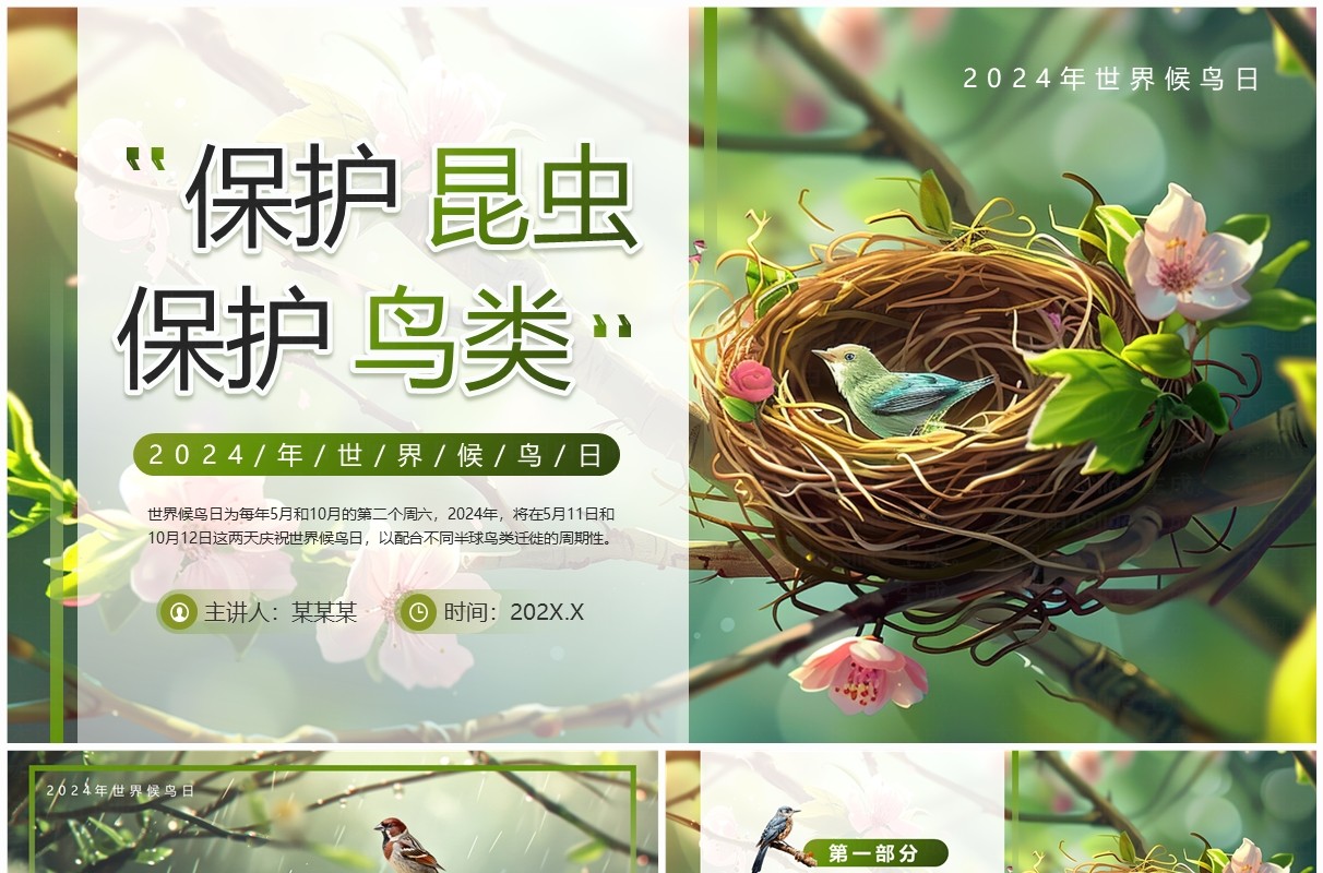 绿色插画风世界候鸟日节日科普PPT模板