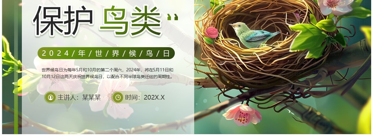 绿色插画风世界候鸟日节日科普PPT模板