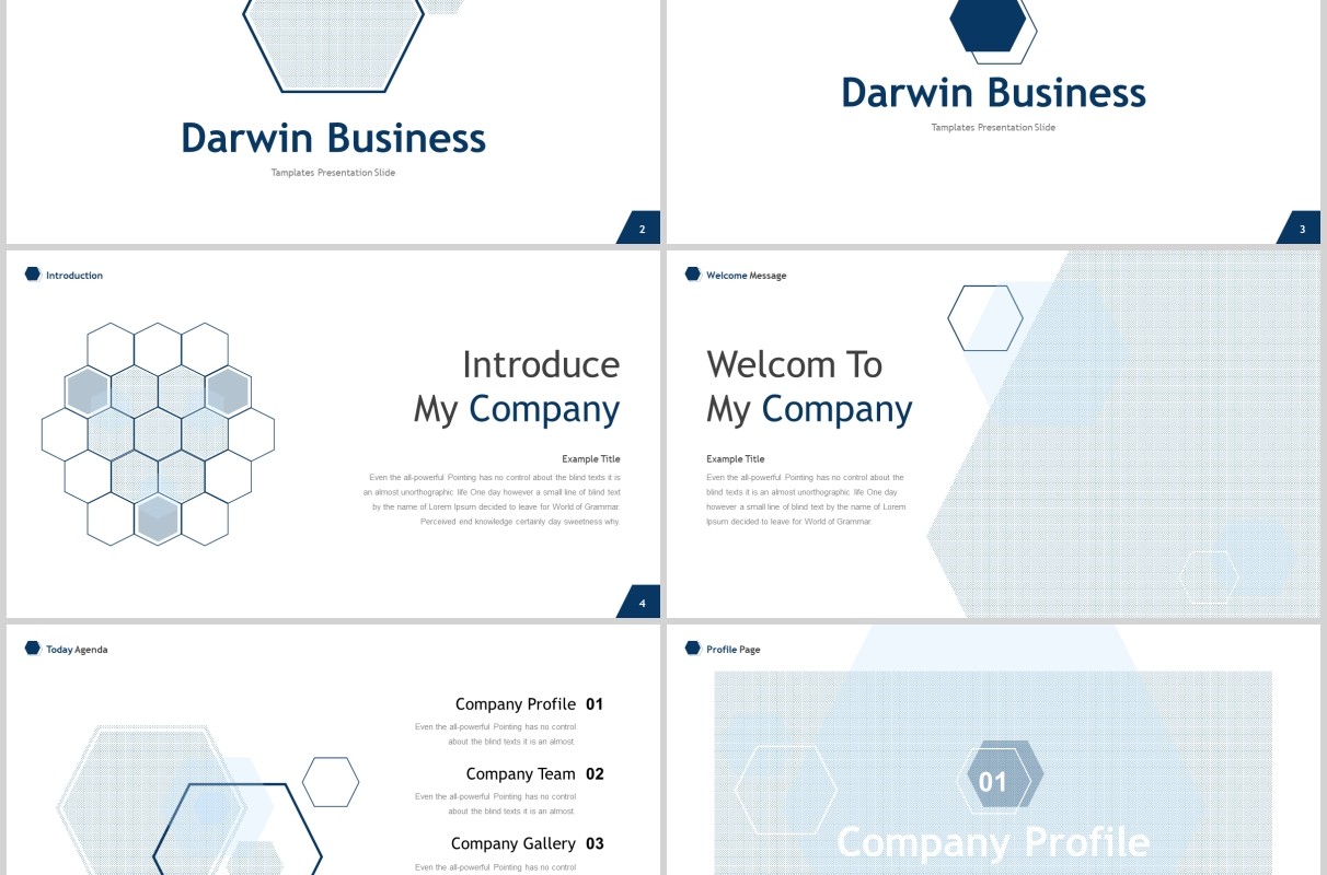 蓝色几何图形数据分析公司简介信息图表PPT模板darwin powerpoint template