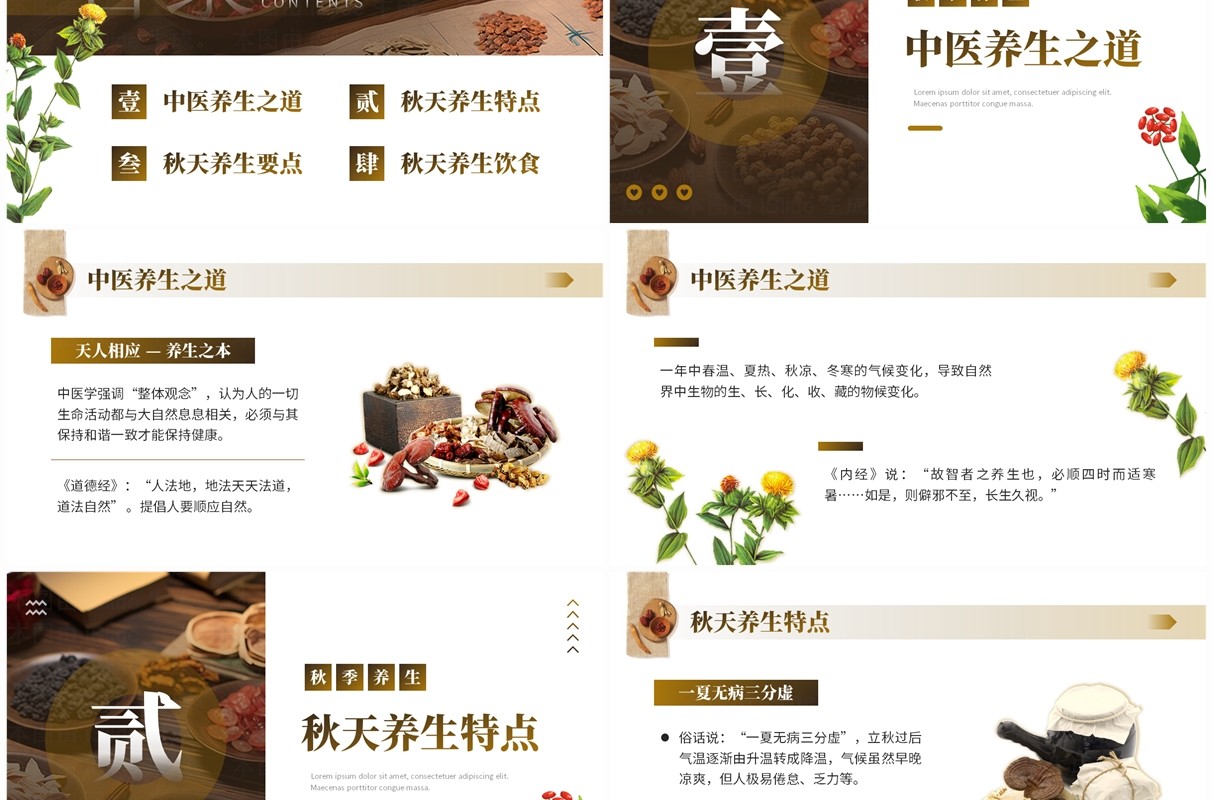 棕色中国风秋季养生中医保健知识PPT模板