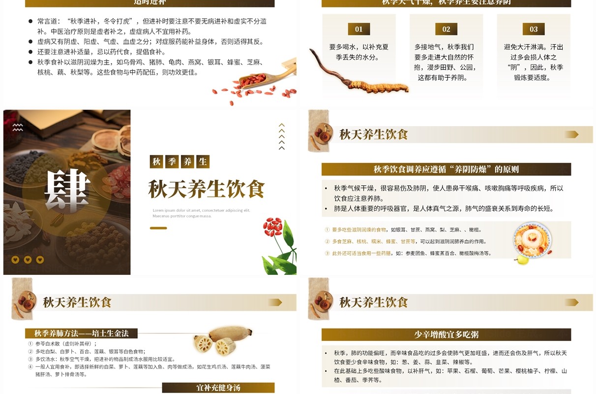 棕色中国风秋季养生中医保健知识PPT模板