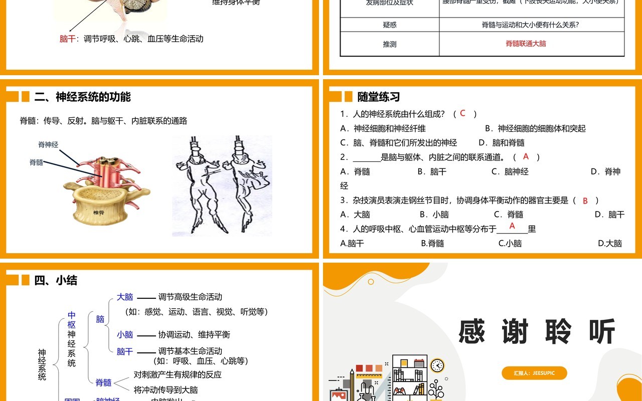部编版九年级上册神经系统的组成课件PPT模板