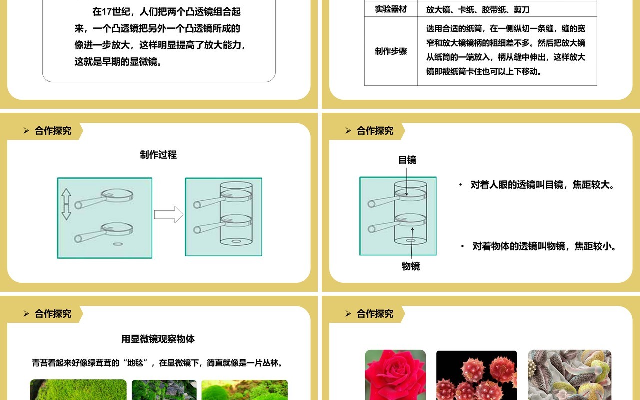 教科版六年级科学下册怎样放得更大课件PPT模板