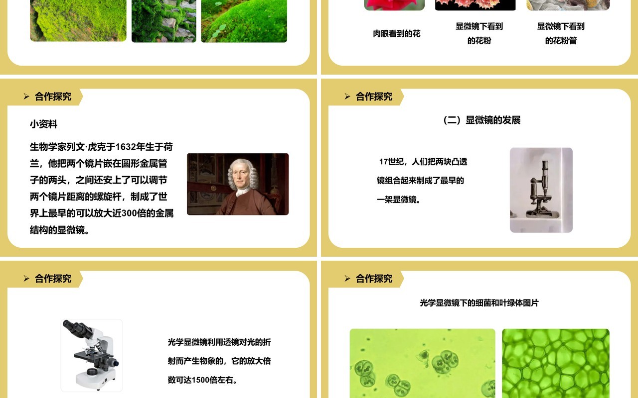 教科版六年级科学下册怎样放得更大课件PPT模板