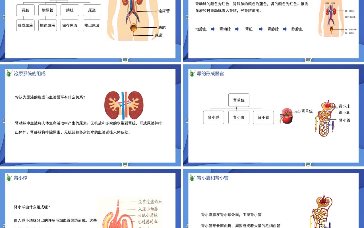 部编版七年级生物下册第五单元人体内废物的排出课件PPT模板