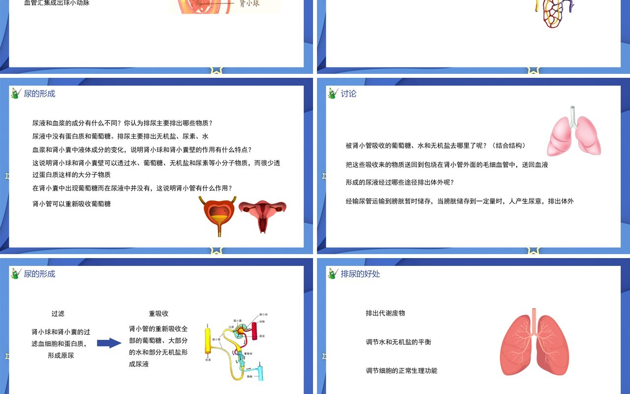 部编版七年级生物下册第五单元人体内废物的排出课件PPT模板