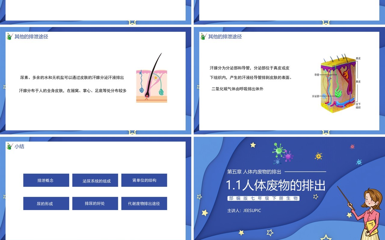 部编版七年级生物下册第五单元人体内废物的排出课件PPT模板