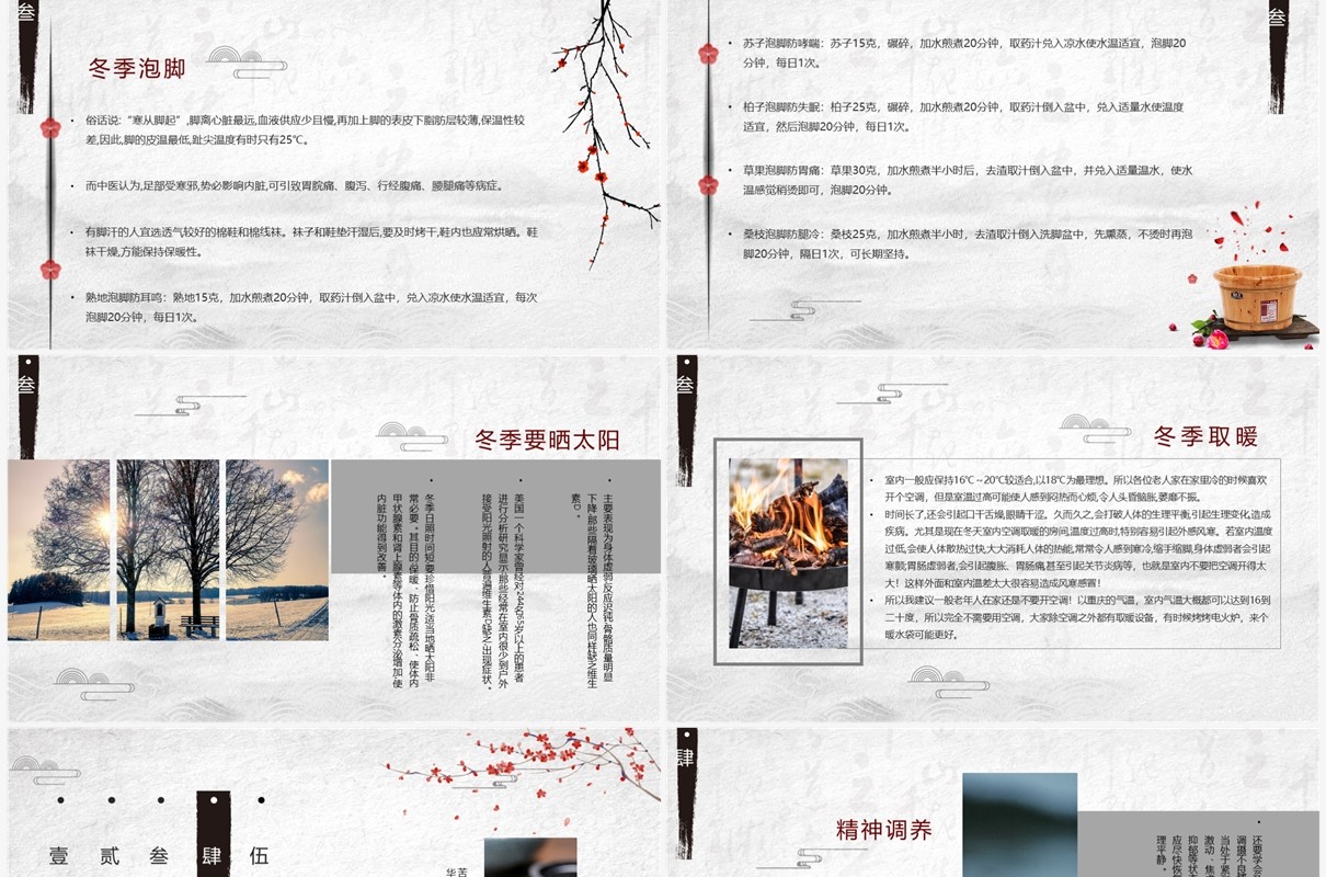古典中国风传统文化冬季养生PPT模板