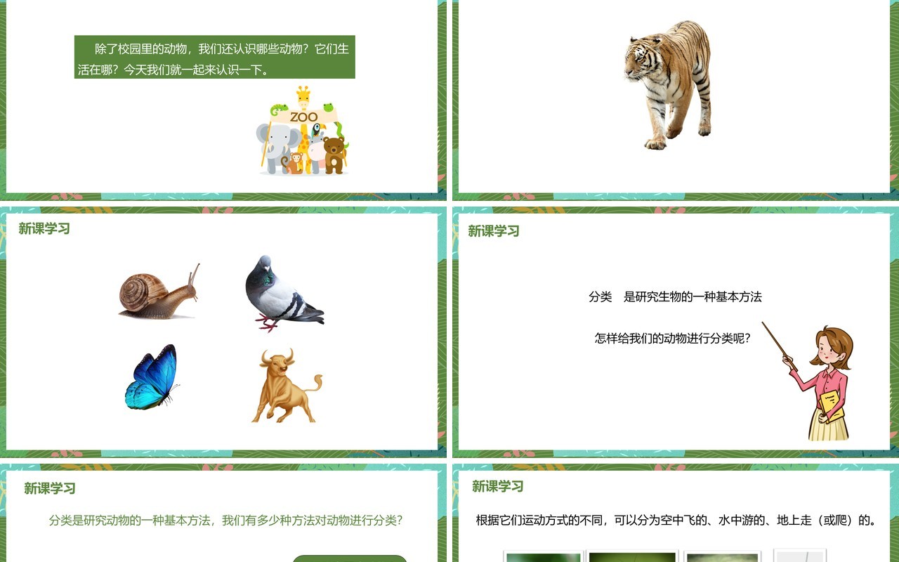 教科版六年级科学上册种类繁多的动物PPT模板