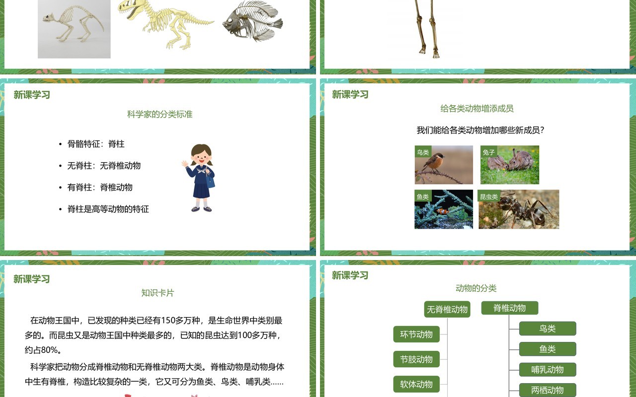 教科版六年级科学上册种类繁多的动物PPT模板