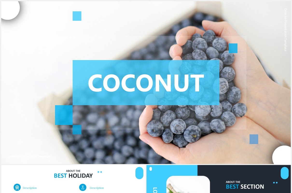 国外蓝色简约信息图表PPT模板coconut powerpoint template