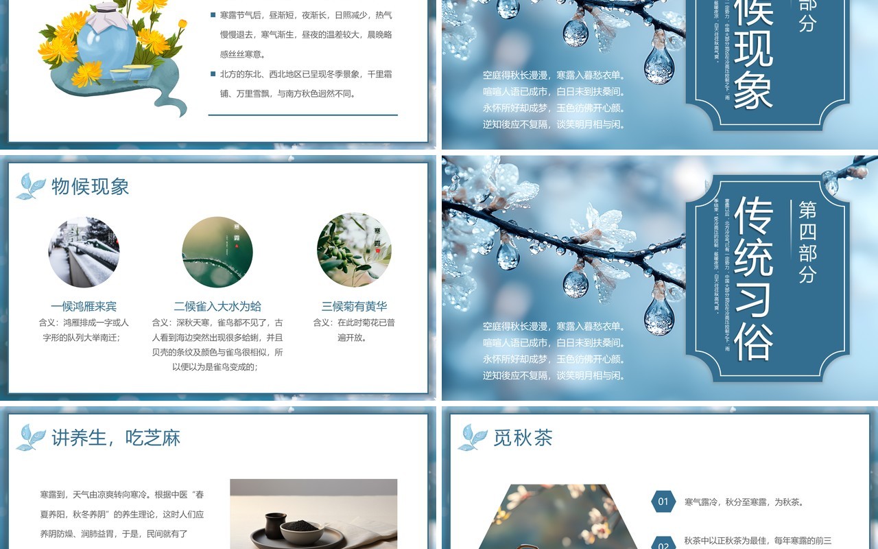 蓝色简约风二十四节气之寒露介绍PPT模板