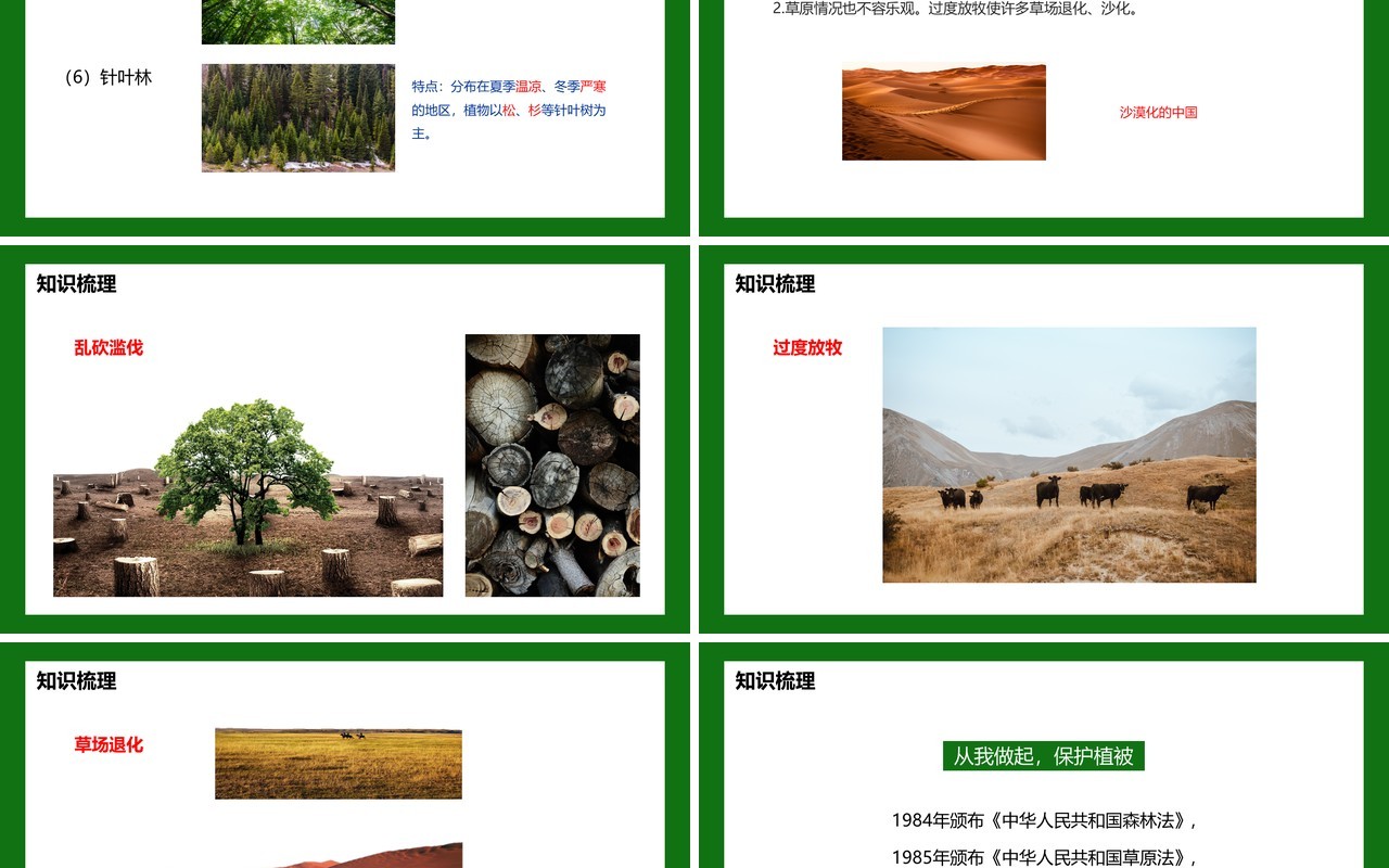 部编版七年级生物上册爱护植被绿化祖国课件PPT模板