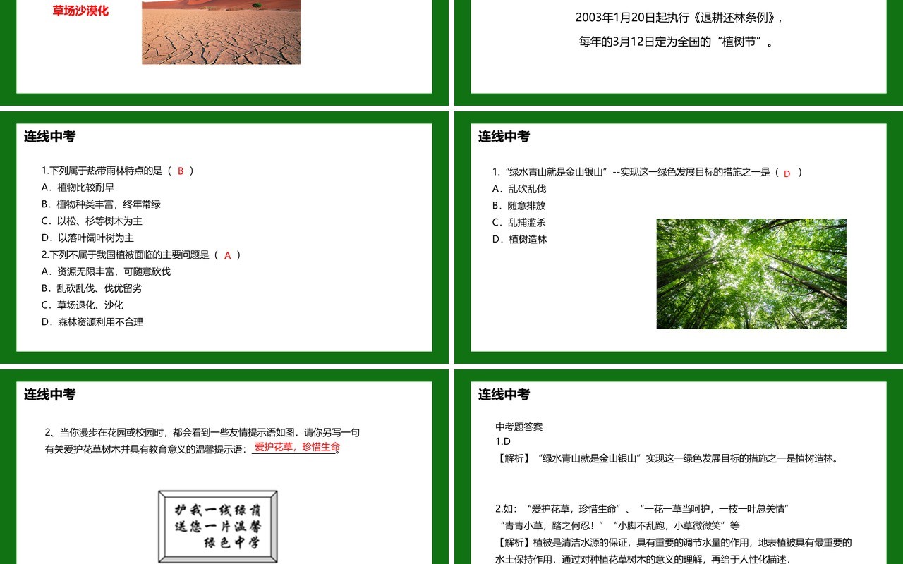 部编版七年级生物上册爱护植被绿化祖国课件PPT模板