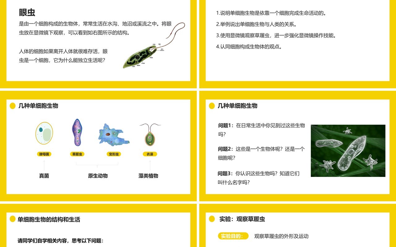 部编版七年级生物上册单细胞生物课件PPT模板